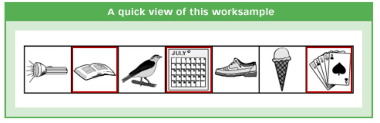 Classification worksample showing a flashlight, book, bird, calendar, shoe, ice cream cone, and playing cards.