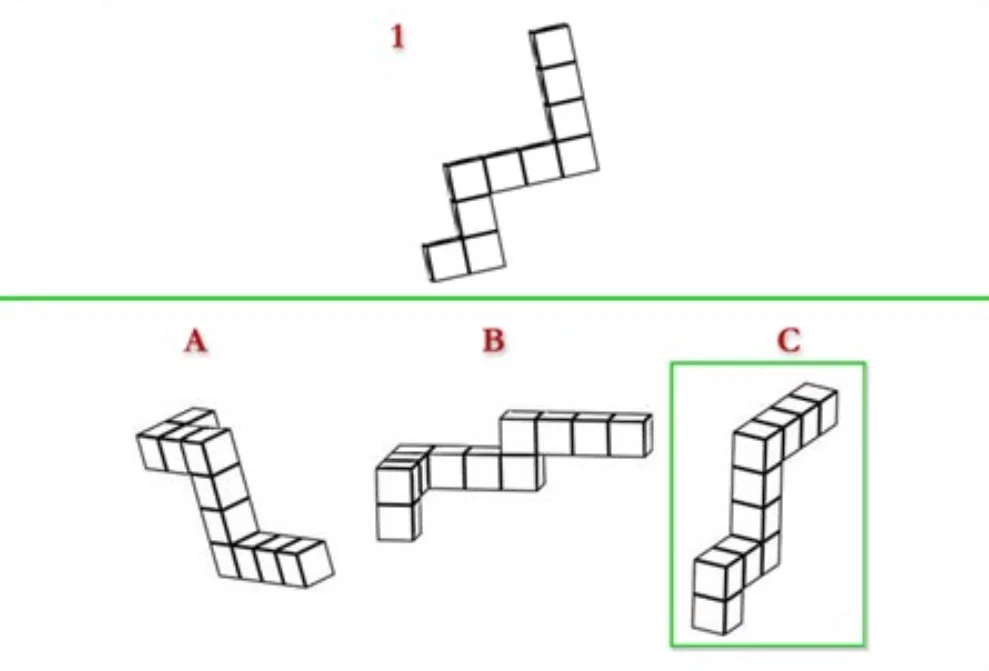 Spatial reasoning example: a shape made of cubes and three possible rotated views.